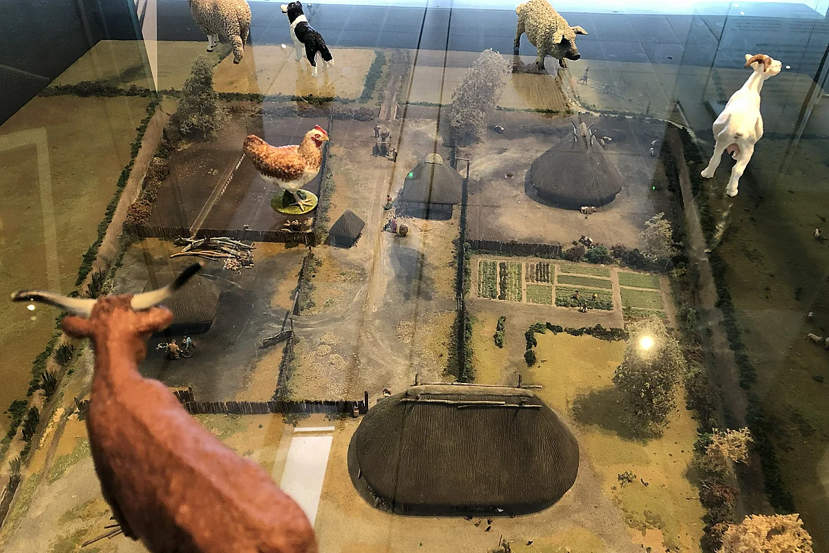 Musée décalé, une visite famille à Bibracte