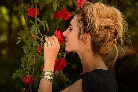 Festival des roses