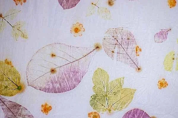 Atelier découverte Tataki-zomé à la ferme