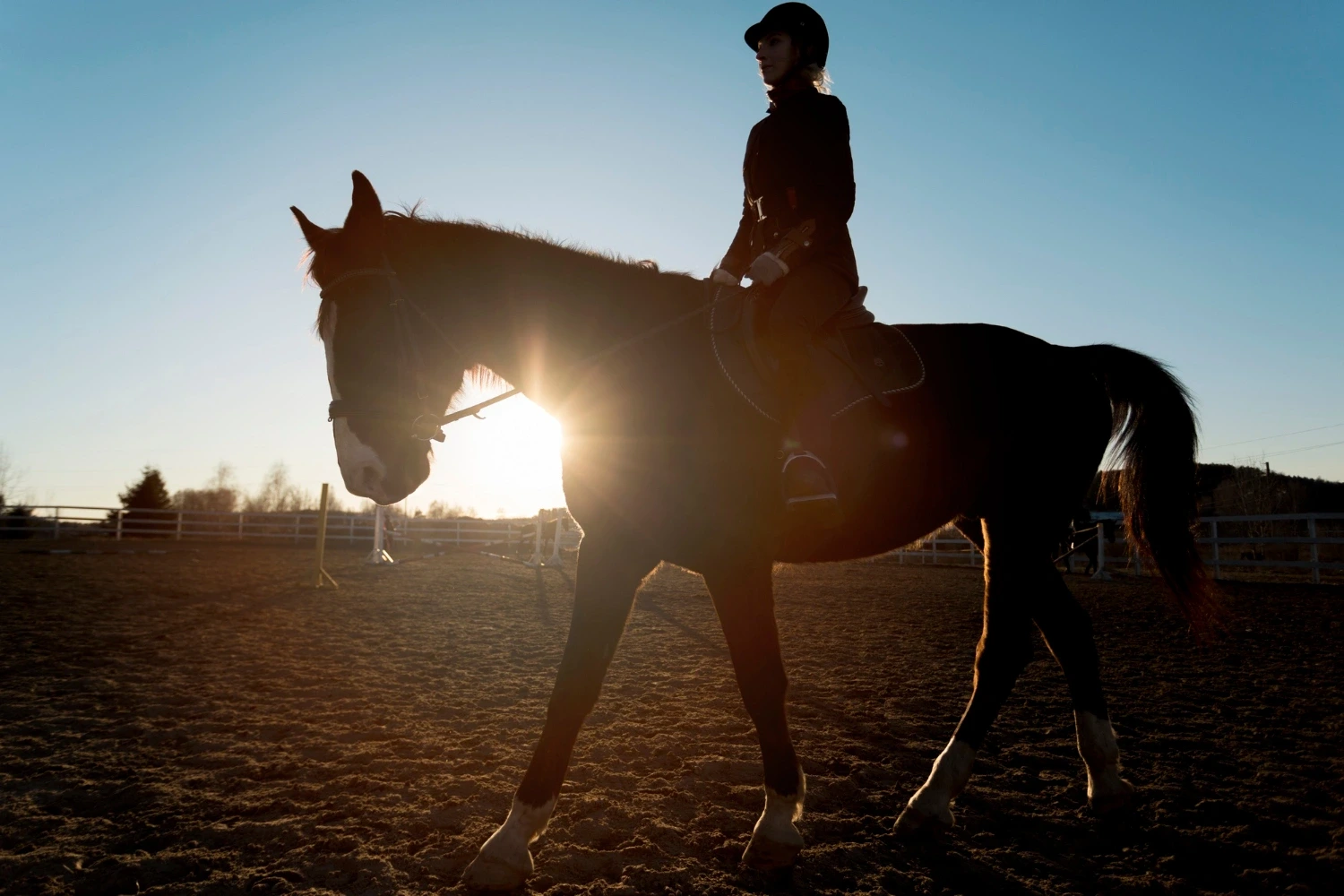 Concours de CSO