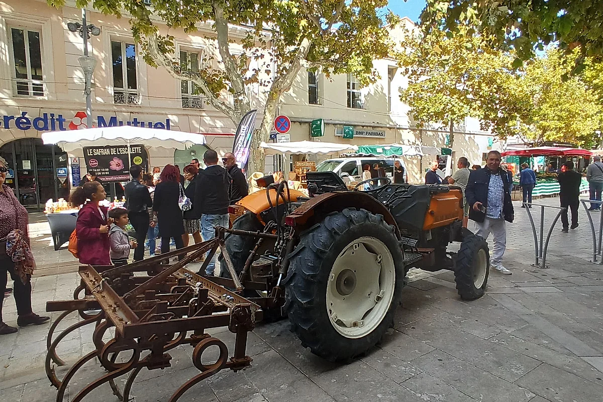 Martigues fête son terroir