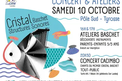 Cristal et Structures Sonores Baschet : concert et ateliers !