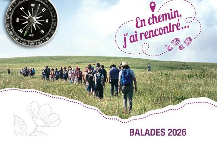 EN CHEMAIN J'AI RENCONTRÉ : "À LA DÉCOUVERTE D'UNE CHÂTAIGNERAIE"
