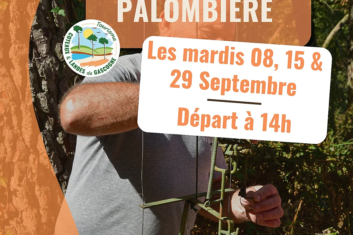 Mini-circuit : Visite d'une palombière