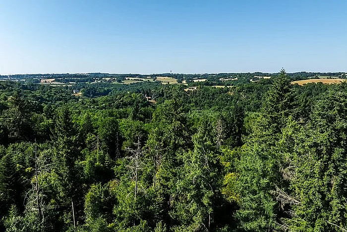 Découvrir le sentier d'interprétation de la forêt de Ligoure
