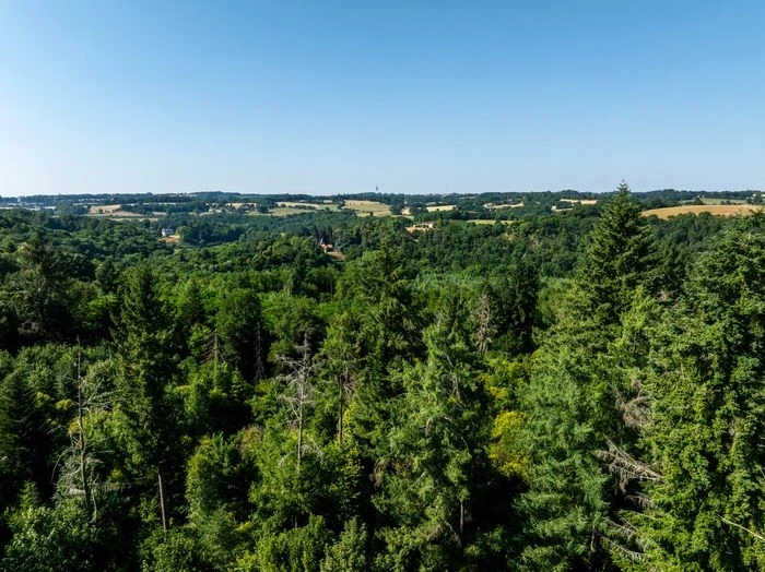 Découvrir le sentier d'interprétation de la forêt de Ligoure