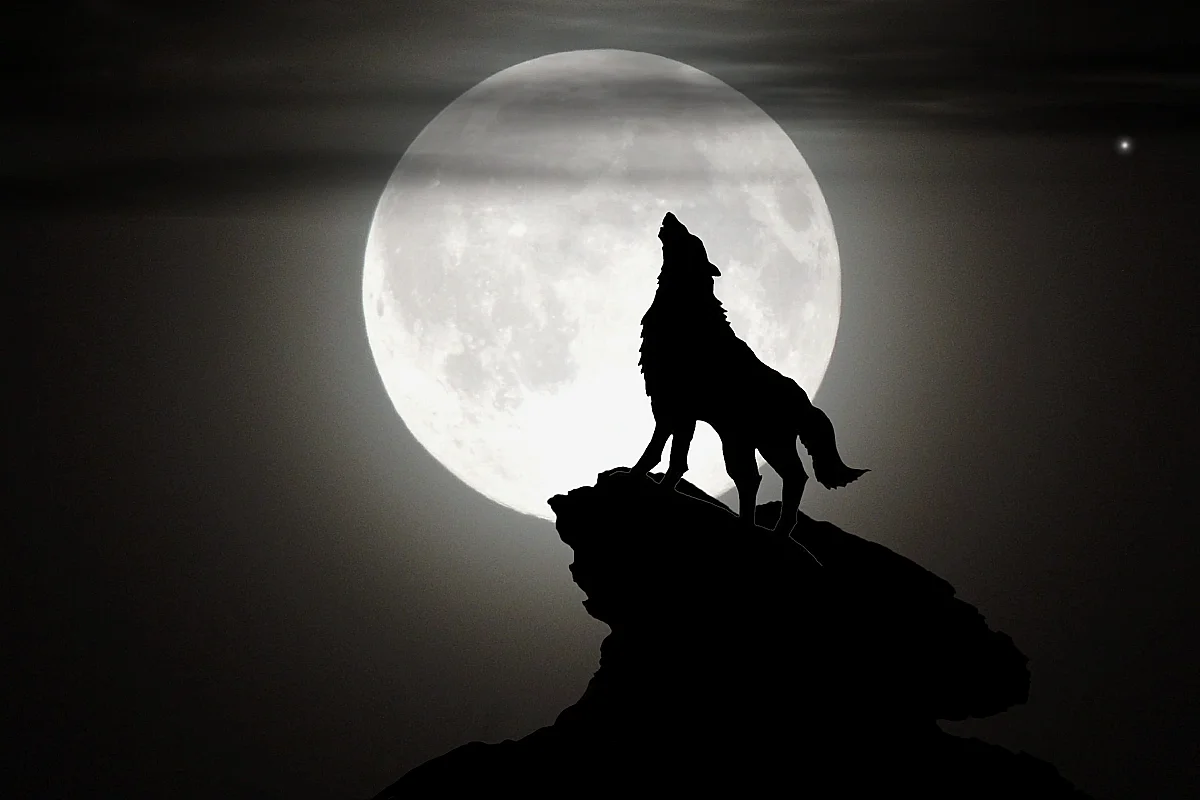 Loup-Garou de Thiercelieux - ados
