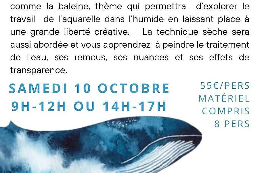 Stage peinture : Aquarelle - animaux marins par Floriane VIRGO
