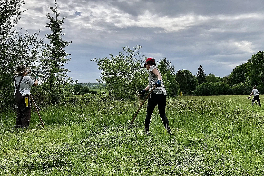 Initiation à la faux
