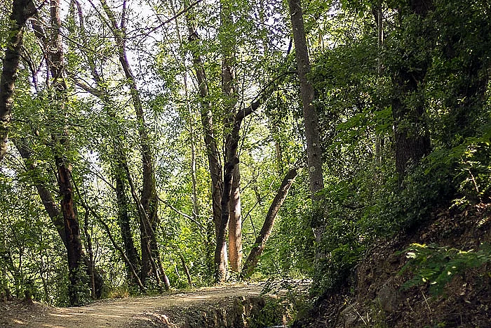 RANDO ACCOMPAGNEE : LE CANAL DE BOHERE ET L'ABBAYE SAINT-MICHEL DE CUXA