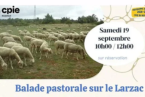 Nouveauté 2026 - " Balade pastorale sur le Larzac " avec le CPIE