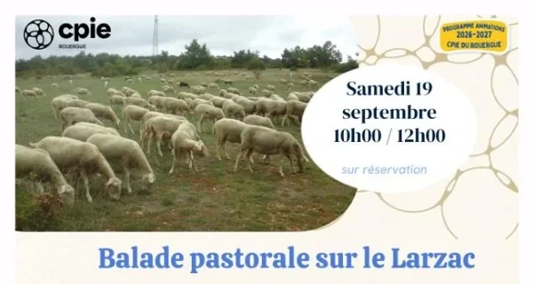 Nouveauté 2026 - " Balade pastorale sur le Larzac " avec le CPIE
