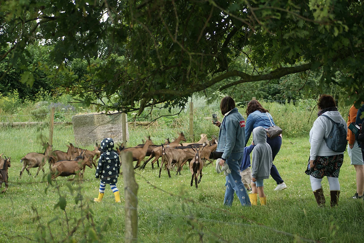 Atelier découverte : les animaux de la ferme