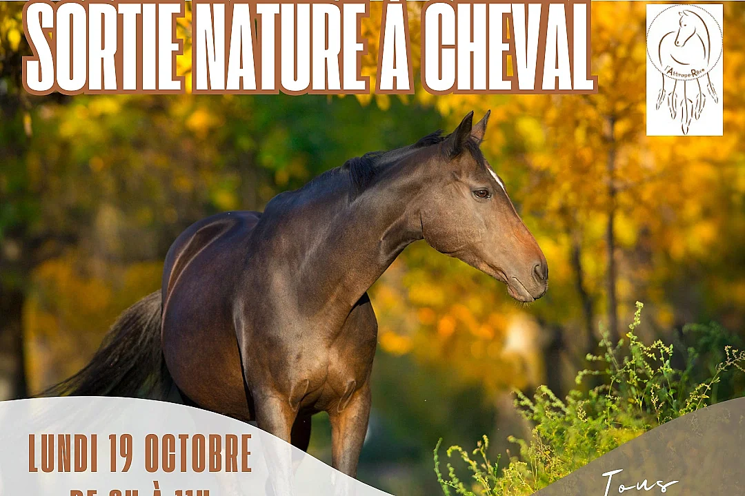 Sortie nature à cheval