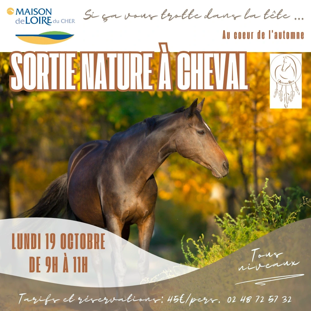 Sortie nature à cheval