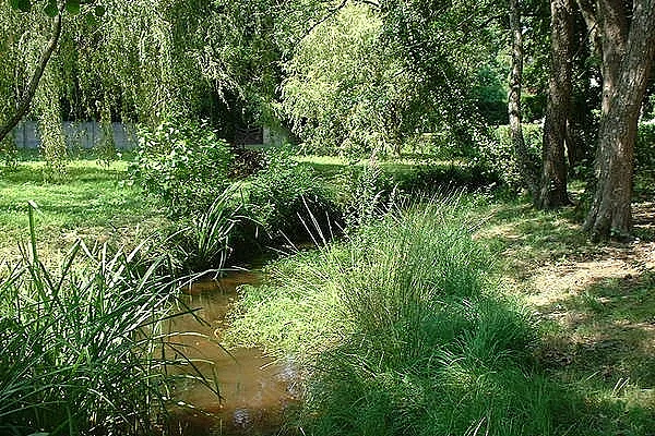 Histoire d'un ruisseau