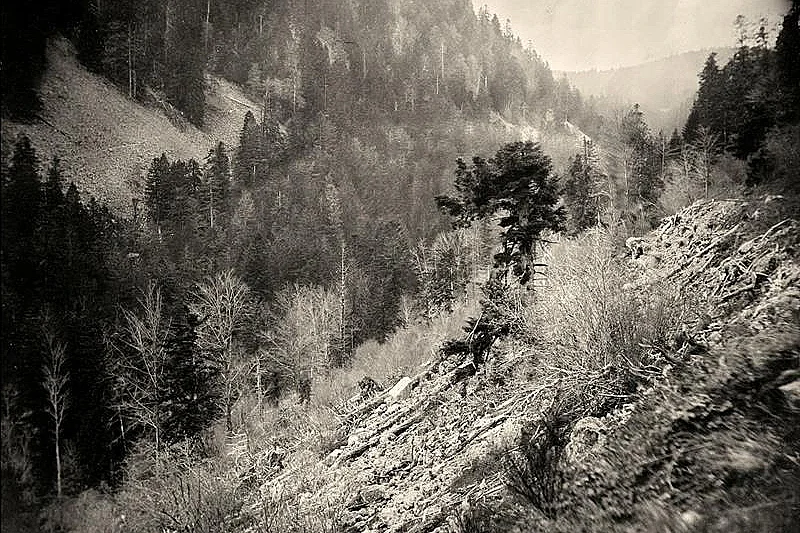 Journées européennes du patrimoine Démonstration: plongez au cœur des origines de la photographie !