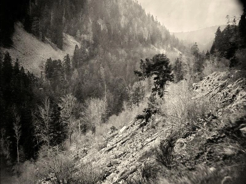 Journées européennes du patrimoine Démonstration: plongez au cœur des origines de la photographie !