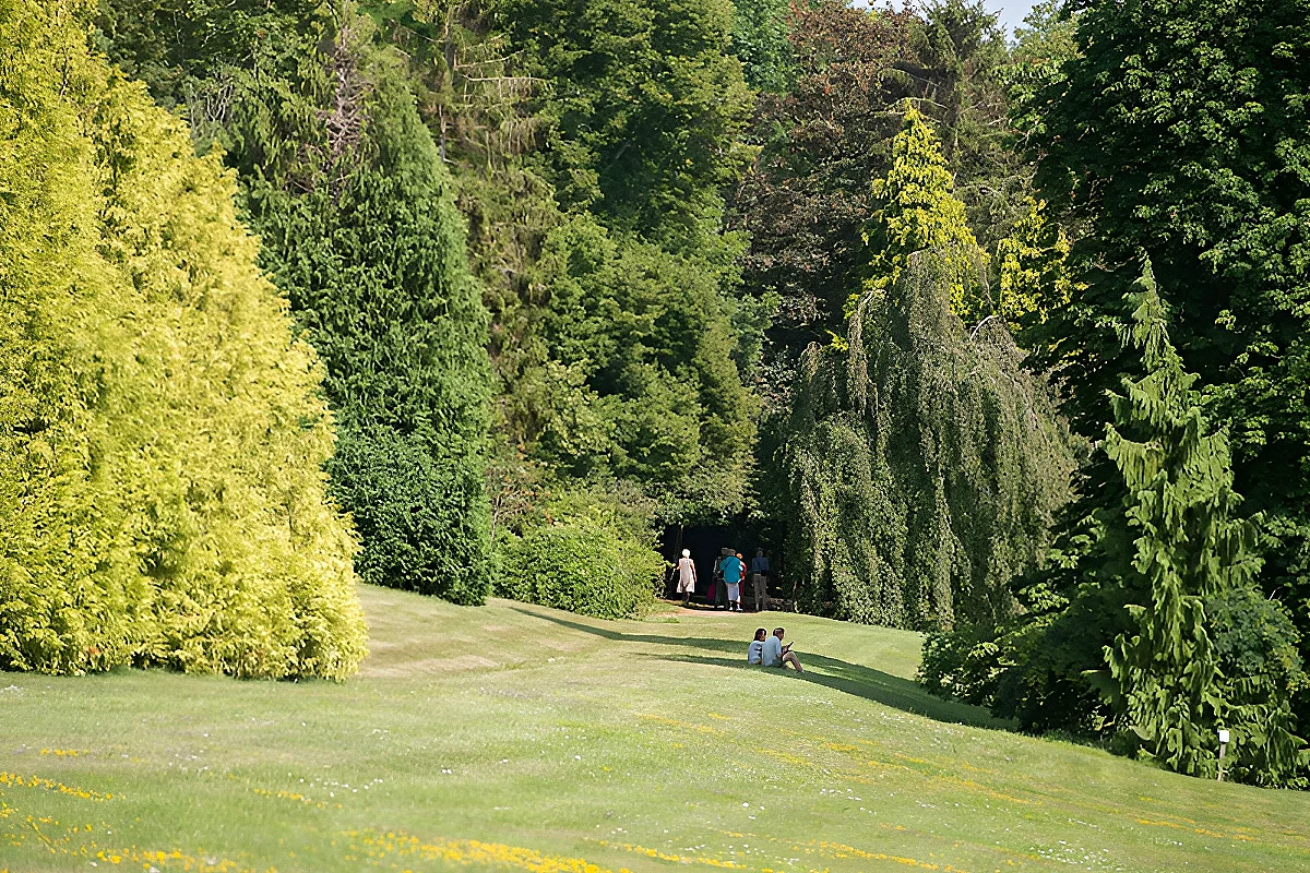 Visite guidée du patrimoine arboré du parc Calouste Gulbenkian