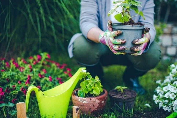 Papotage et jardinage