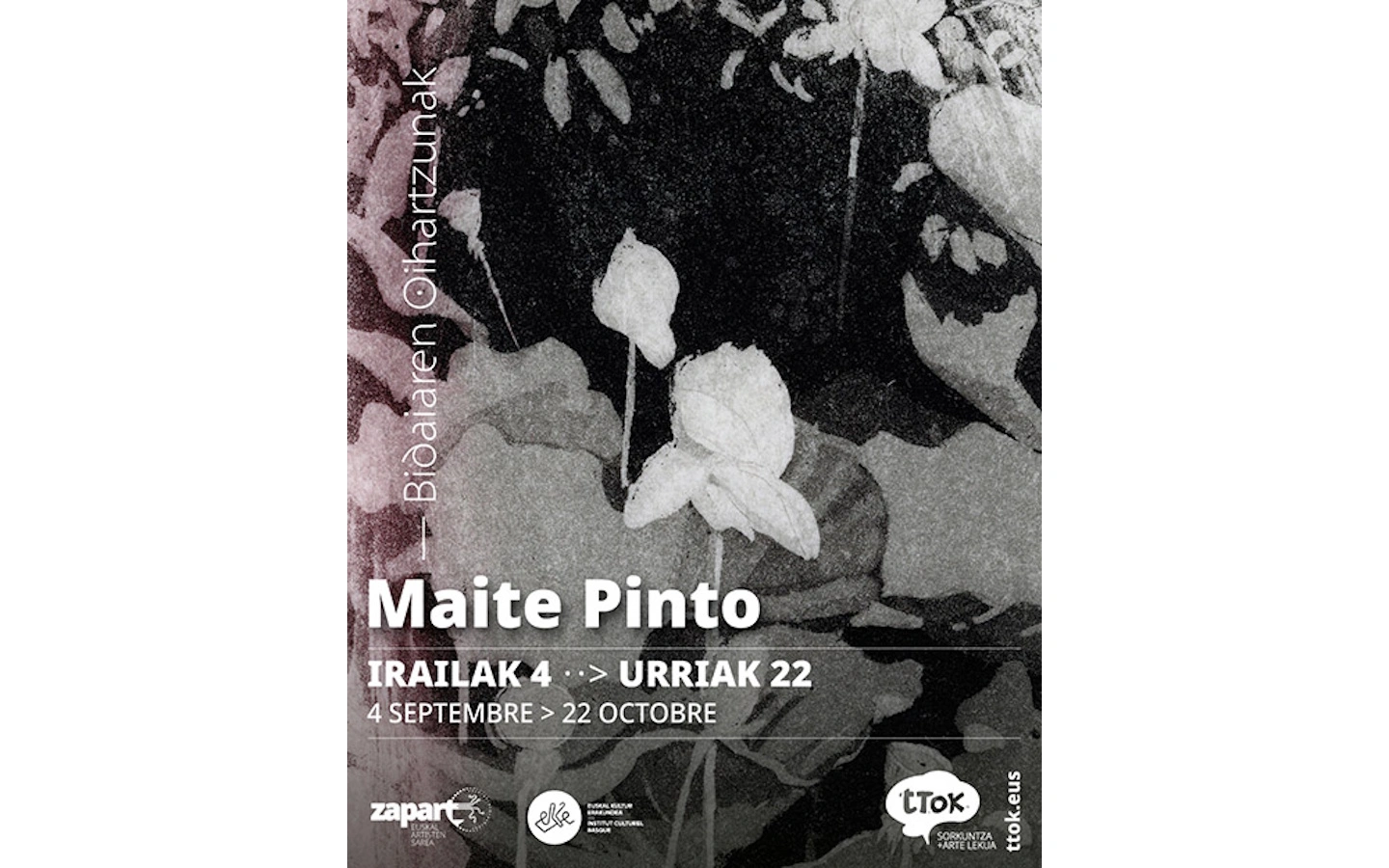 Exposition de Maïté PINTO : "Bidaiaren oihartzunak" - "Echos de voyage"