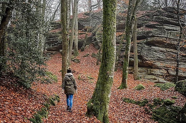 Randonnée CAP Chambon - Toulx ste Croix - 8 km