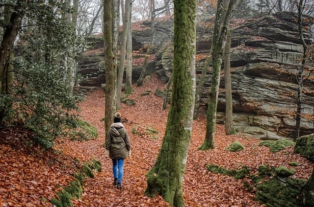 Randonnée CAP Chambon - Toulx ste Croix - 8 km