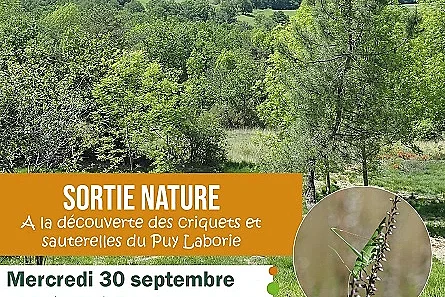 Sortie nature: A la découverte des criquets et sauterelles du Puy Laborie