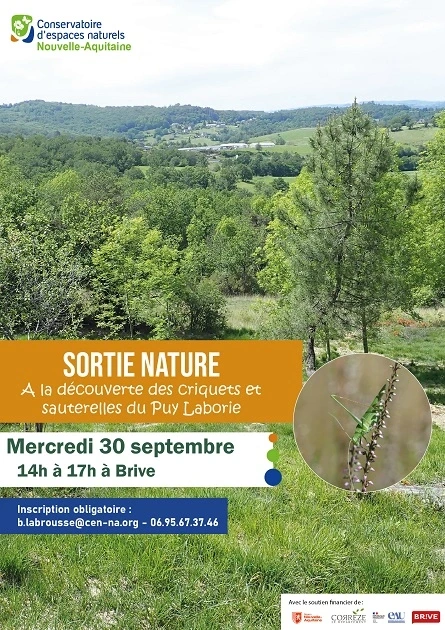 Sortie nature: A la découverte des criquets et sauterelles du Puy Laborie