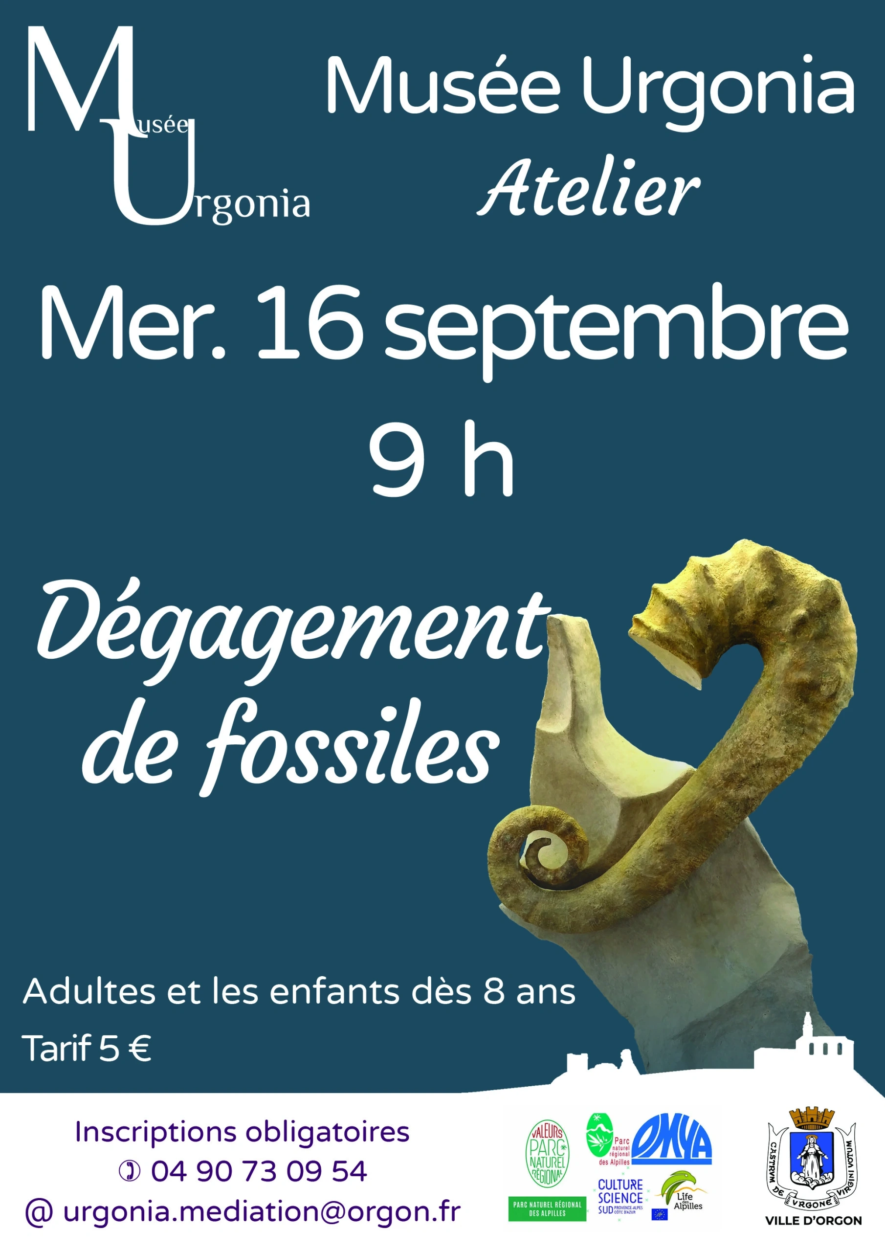 Atelier d'initiation au dégagement de fossiles
