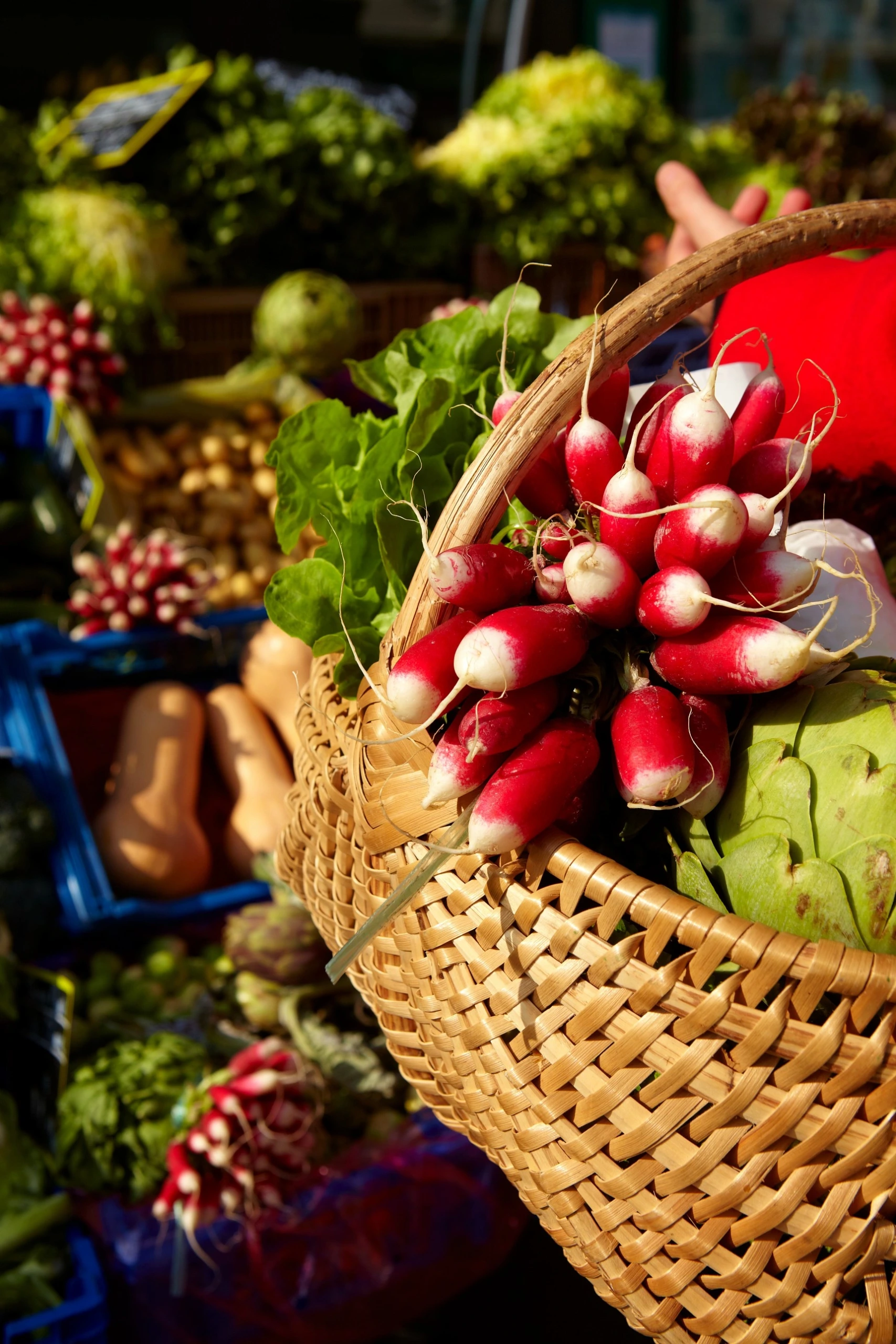Marché de Nolay