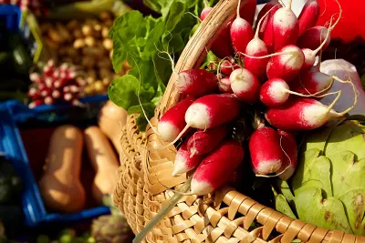 Marché de Nolay