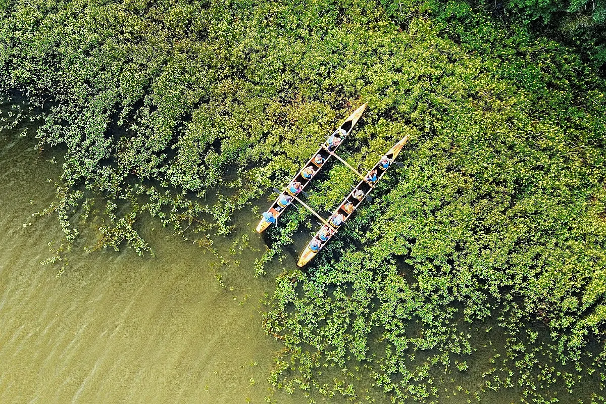 Balade nature en pirogue hawaïenne