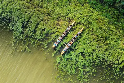 Balade nature en pirogue hawaïenne