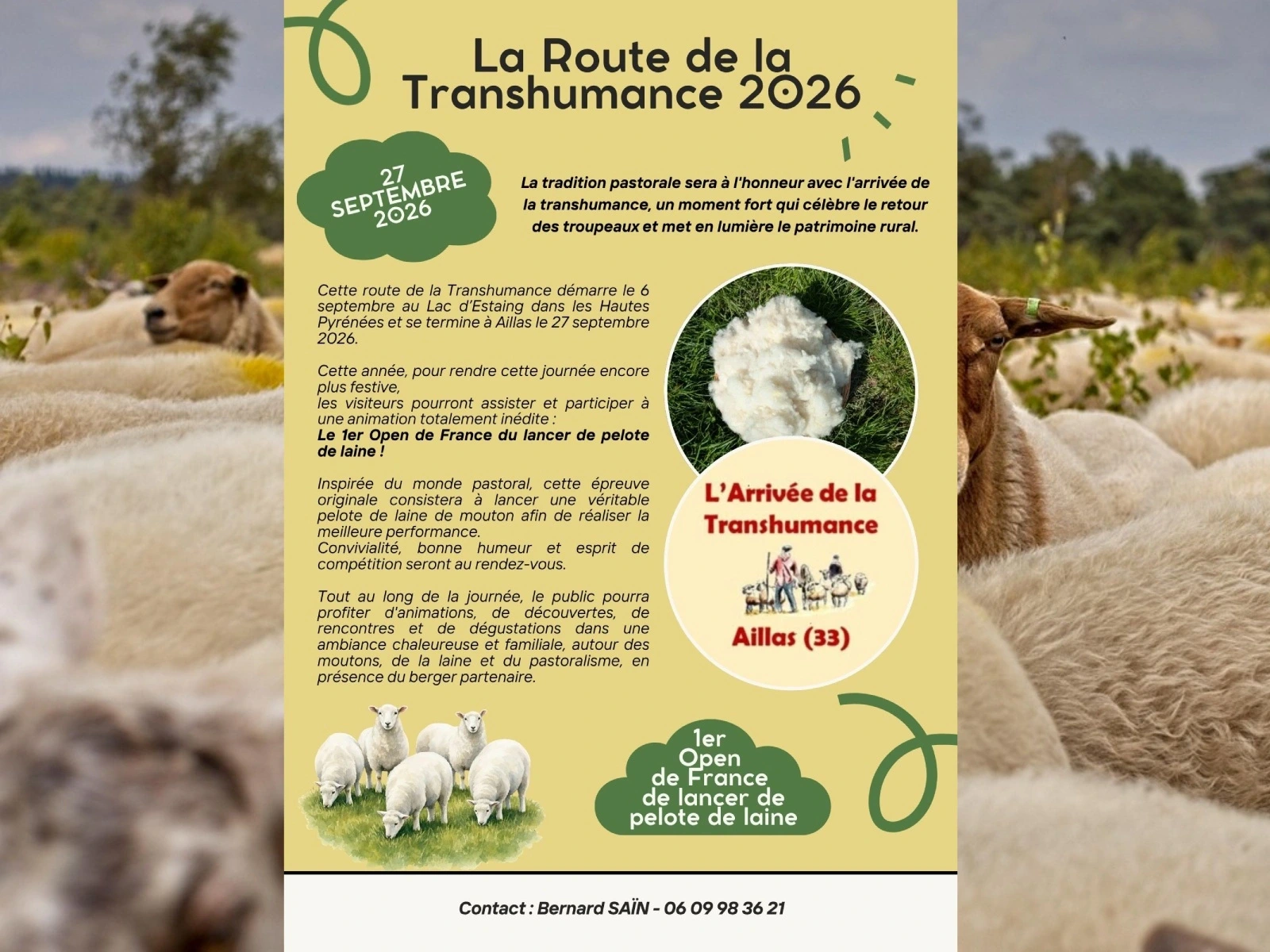 Arrivée de la transhumance