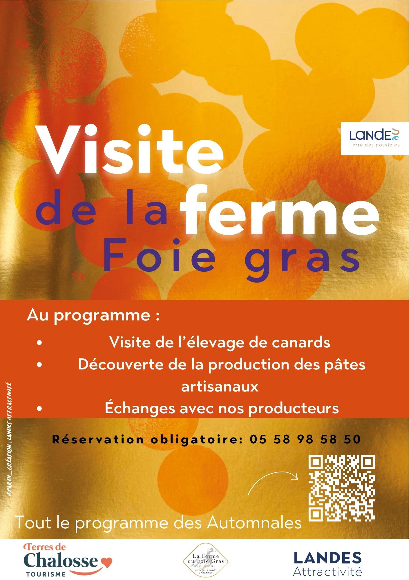 Visite de la ferme du Foie gras (ferme et pâtes) - Les Automnales du foie gras