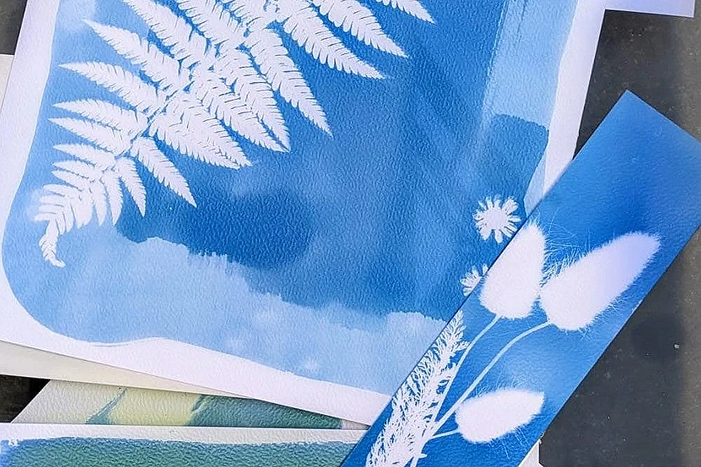 Atelier photographie au cyanotype - Ferme-musée du Cotentin