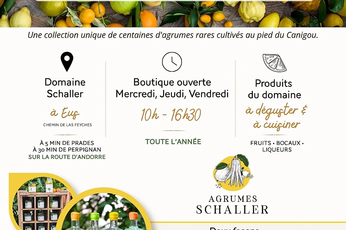 VISITE LES FRUITS D'AGRUMES RARES