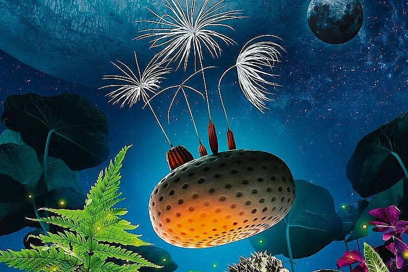 Ciné-rencontre : Planètes