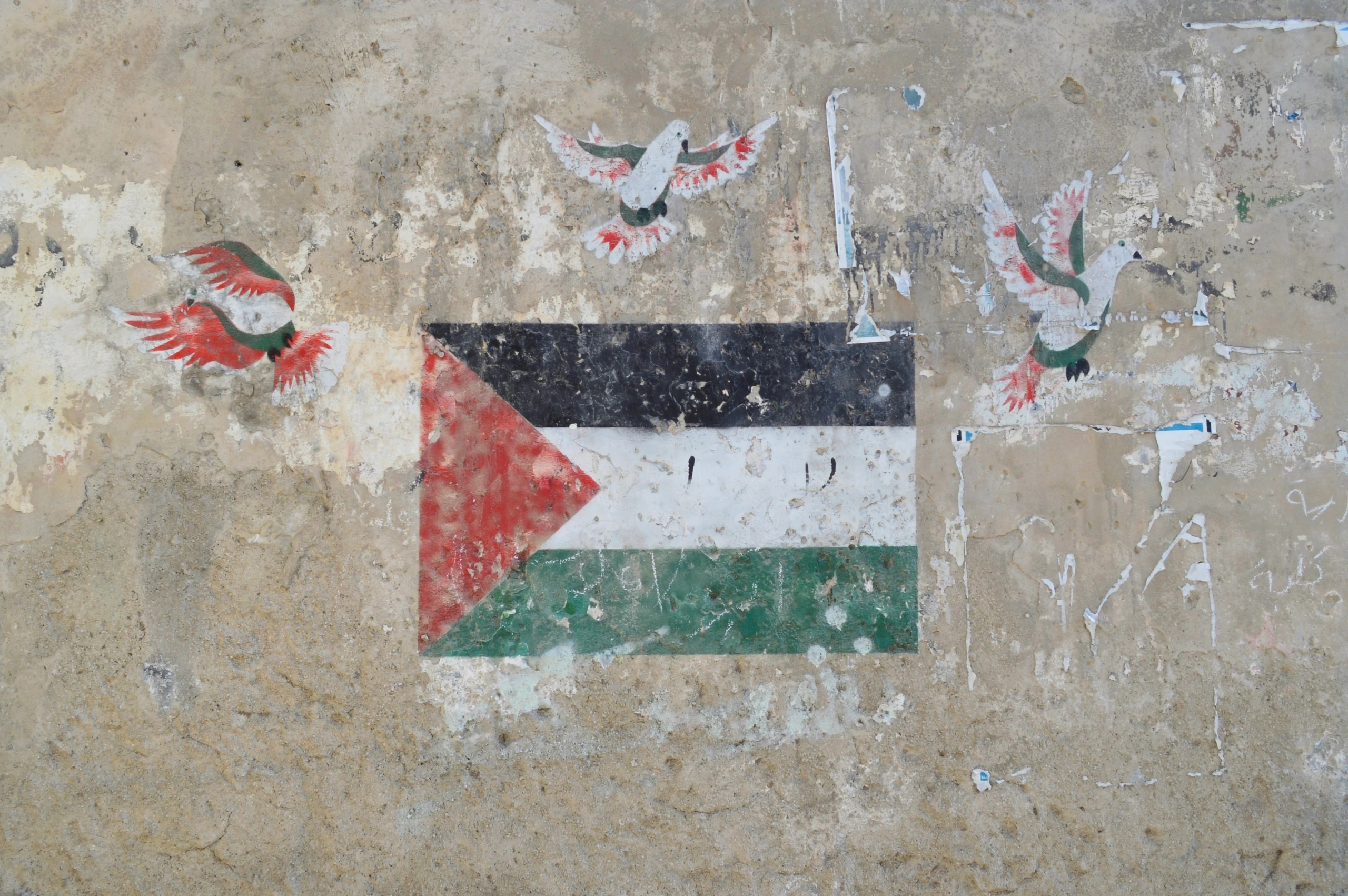 Festival Résurgence X - Conférence - "Les activistes de la paix en Israël et Palestine"