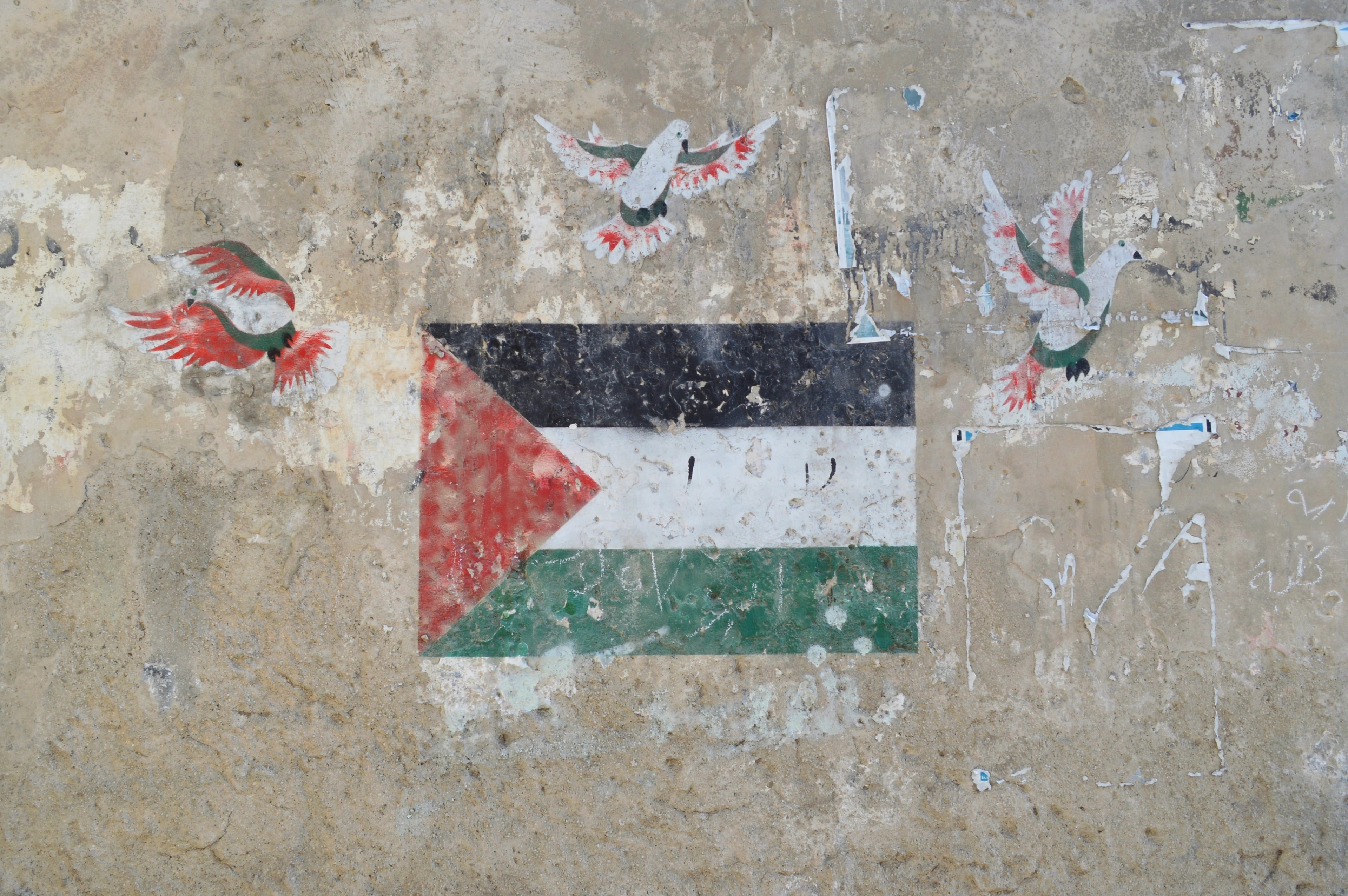 Festival Résurgence X - Conférence - "Les activistes de la paix en Israël et Palestine"