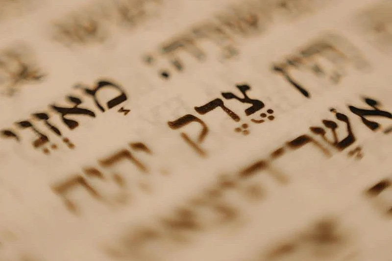 Concert : Oud et Poesie