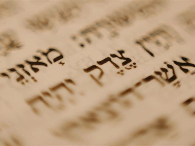 Concert : Oud et Poesie