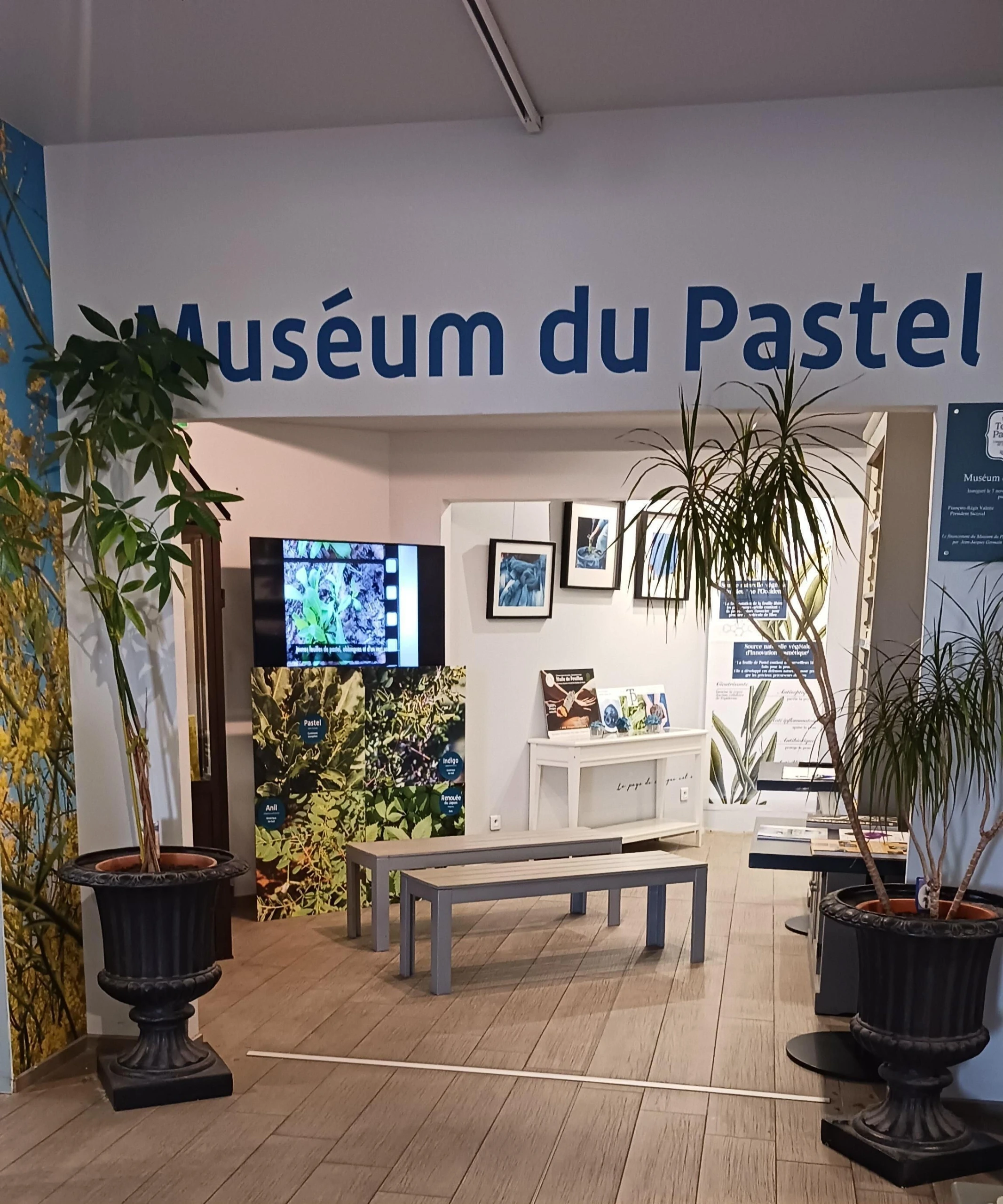ENTRÉE MUSÉUM DU PASTEL GRATUITE