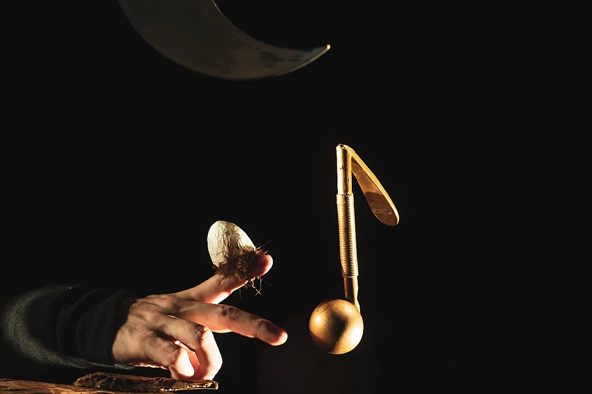 Auditorium Sophie Dessus : Sha Doizo