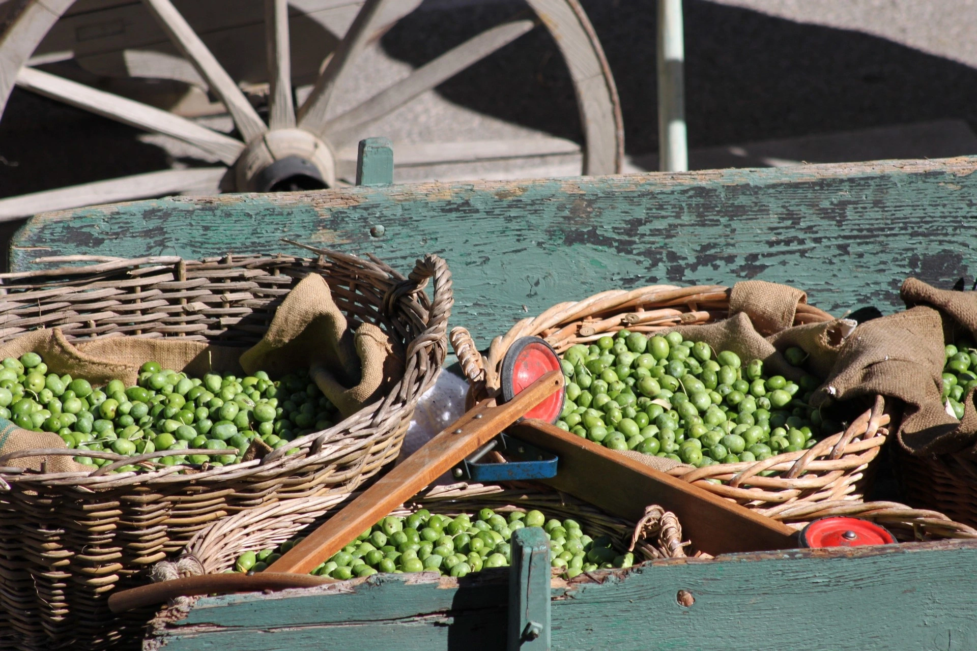 Journées Européennes du Patrimoine à Mouriès : La Fête des Olives Vertes 2026