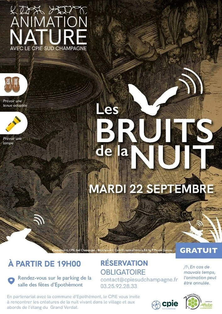 Les bruits de la nuit
