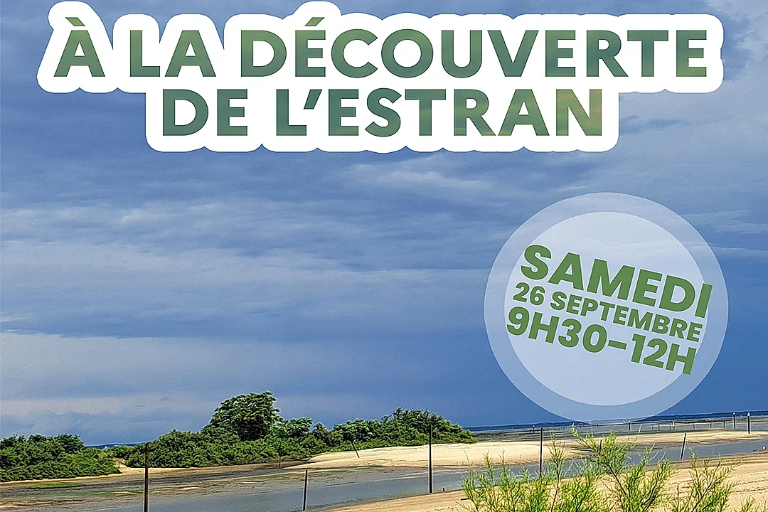 À la découverte de l’estran