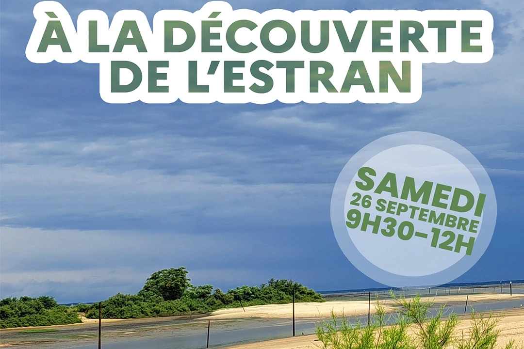 À la découverte de l’estran