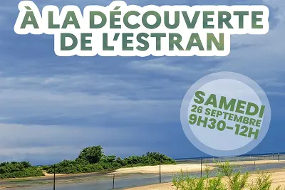 À la découverte de l’estran